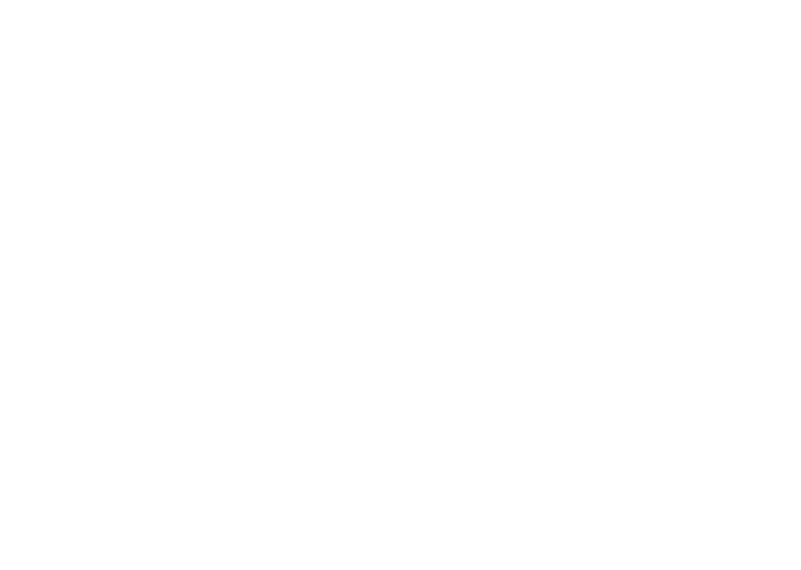 B³ Blueprint Built Basketball